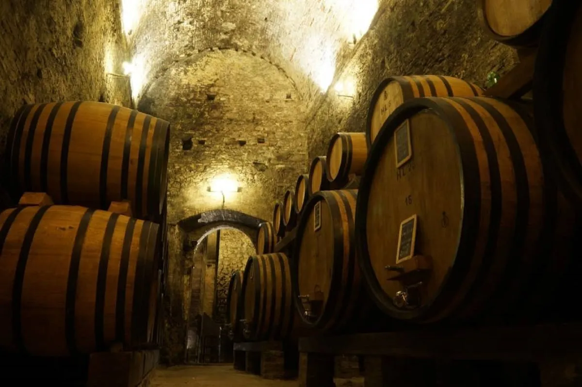 Montepulciano Wine Tasting and Cellar Tour